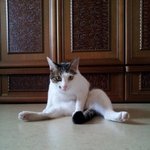 [새미판] *새미가 돌아왔다*2년만에*