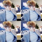 [백현] 백혀니 <b>가슴팍</b> ㅠ