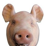 [EXO] 관음년아 your husband <b>is</b> 구희수데쓰