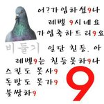 [EXO] ㅇㅌ가입 하고 싶은 사람 <b>초대</b>번호 줌