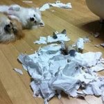 [댓글부탁해] <b>우편물</b>이 안와....