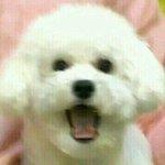 [댓글부탁해] 니들 유독싫어하는 <b>문장</b>있어?