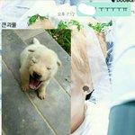 [EXO] 언니랑 이번년도 초에 하고 한번도 깨톡 <b>안</b><b>함</b>