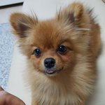 인형이..인형이 움직여요!!!!!!.