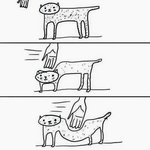 [EXO] 시상식기준 엑소만 오면 요리<b>조리</b> 바껴