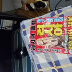 이거 뮈야 이거