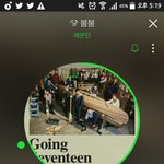 [세븐틴] <b>캐럿</b>들 스밍돌리자화이팅