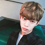 [BAP] 짹 보다가 <b>사망</b>