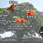 [펌] 암을 <b>예방</b>하는데 도움을 주는 음식들이래요