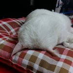 마루3