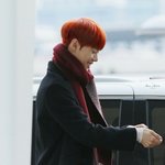 [뉴트] 왕옹니에게
