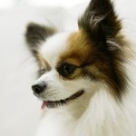 [공판] 오랜만이야 공부팁으로 다시 돌아왔어!!(스압주의ㅠㅠ)