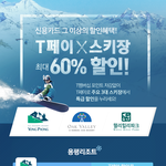 티페이로 결제하면 스키장 할인 받을 수 있네요.