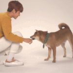 [EXO] 이 시바견 찬열이 <b>간식</b>있다고 태도 변하는거봐