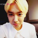 [위너] 완댜님ㅠㅠ