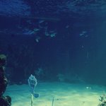 [EXO] 뭐야; 집게<b>리아</b>