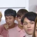 [세븐틴] 겁나귀엽다 석민이시강
