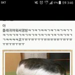 나 자는척했는데 방금 엄마가