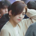 [세븐틴] 혹시 이 홈마 아는 <b>캐럿</b>.....?