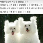 [댓글부탁해] 급한데 약좀알려줘!!
