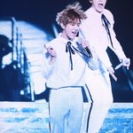 [백현] 배켠의 모든 <b>세포</b>가 열일중