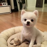 [<b>뉴트</b>] 맞음
