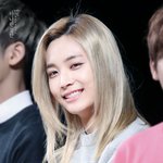 세븐틴<b>정한</b> 사진이나 움짤좀주라