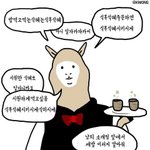 이 <b>알파카</b> 짤 있는 사람!