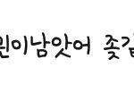 역대 최고 <b>발암</b>의 맞춤법