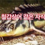 [EXO] 아 철갑<b>상어</b> 지렸다진쩌