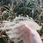 개인적으로 노래바꿔서 무대해줬으면 아이돌