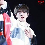 [뉴트] 요덩 오늘 맘스<b>터치</b> 먹었읍니다