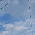 뿌직