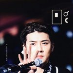 161211 EXO'rDIUM in Osaka <b>Day</b>3 프리뷰3