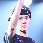 [세훈] 세후나 일본투어 수고했어~