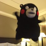 [댓글부탁해] <b>승무원</b>이 꿈인애들있어?