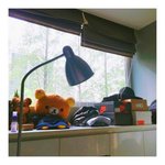 [세븐틴] 전화하던 너