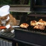 [호두과자] 요즘은 잠을 못 자