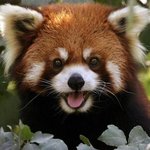 잘<b>자요</b>