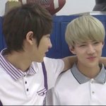 [EXO] <b>XX</b>...오세훈윌리스지렸어