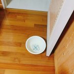 [댓글부탁해] 나지금동생때문에너무소름끼쳐