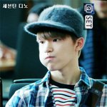 막내온탑은 꿈도 안꾸는 막<b>냉이</b> 모음