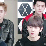 [EXO] 일본방송은 약간 <b>어색</b>한가봐 표정이