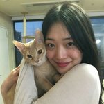 애들아 <b>봄웜</b> 팔레트에 오렌지브라운 있냐