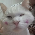 친구하자면 누구랑 할래