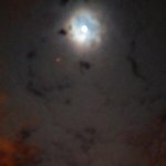 혼잘<b>레스</b>의 밤일기~