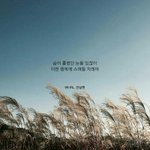 [댓글부탁해] 어찌됐든 오늘도 <b>수고</b> 많았어