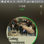 [세븐틴] 나 이제 플디한테