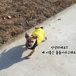 [<b>동행</b>세상] 돌돌이의 가족이 되어주세요.