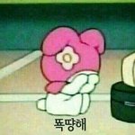 나 쿠션 <b>호수</b> 높은 거 샀는데